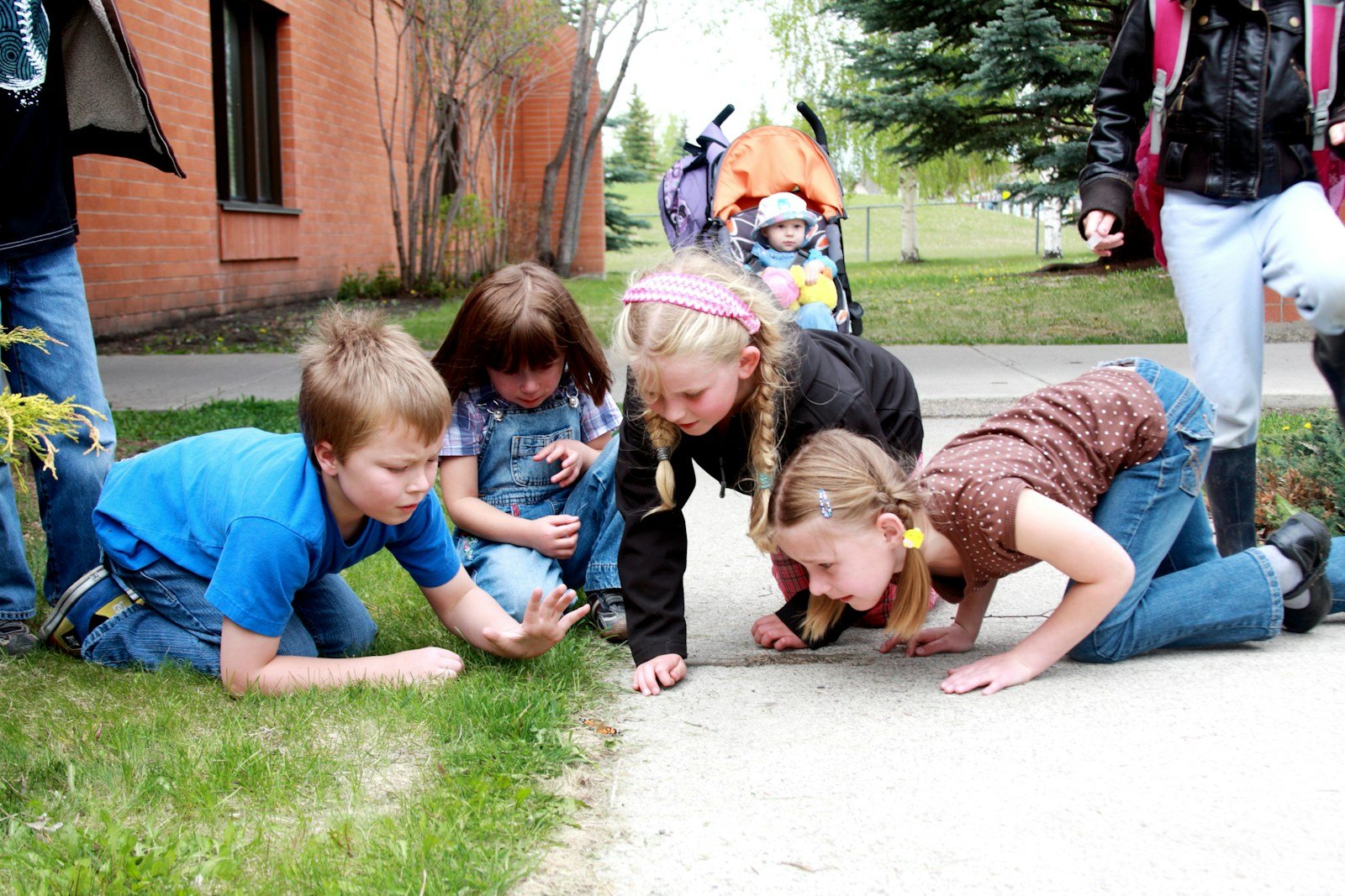 Kids curiously examining something small on the sidewalk grass.