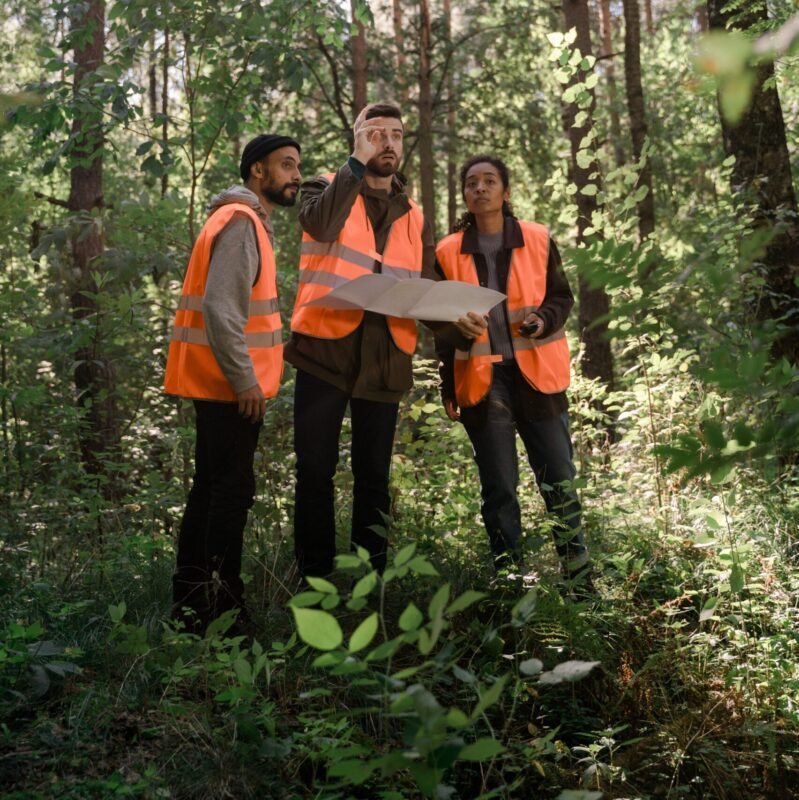 A team of surveyors in protective gear examines a map amidst a dense forest.