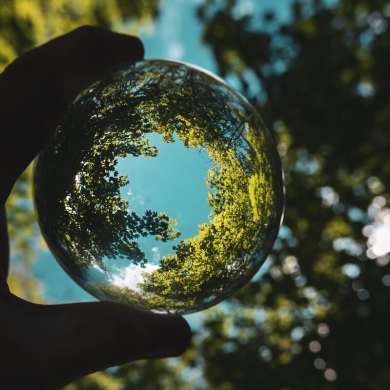 A creative shot depicting trees and sky reflected in a lensball, held by a hand with a blurred forest background.