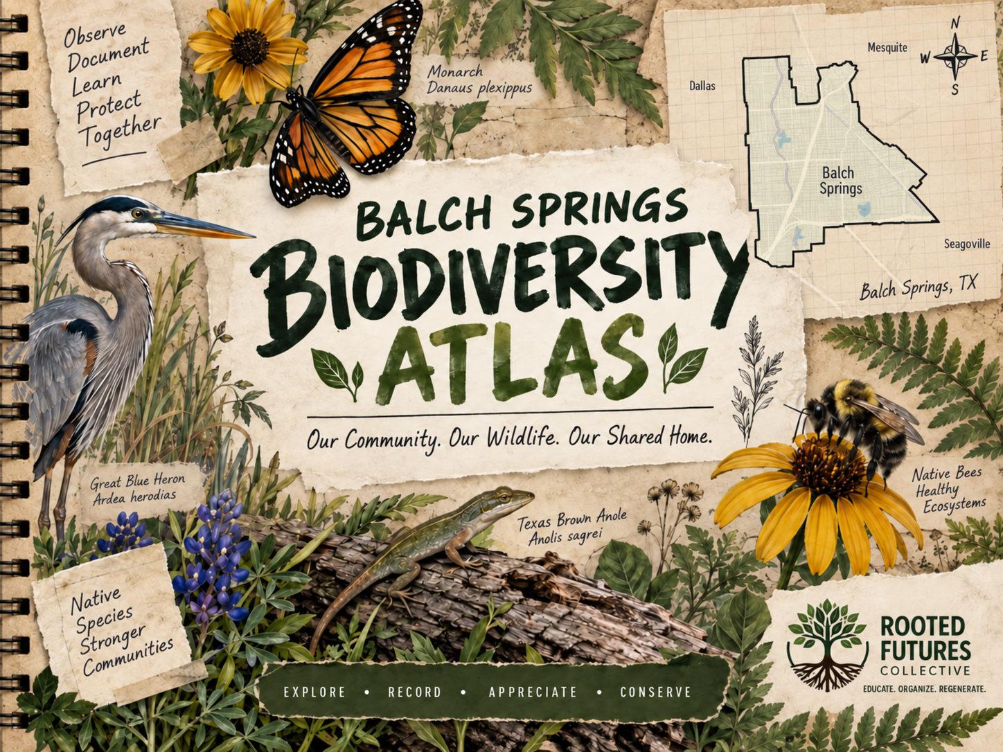 Balch Springs Biodiversity Atlas: A Citizen Science Project on iNaturalist